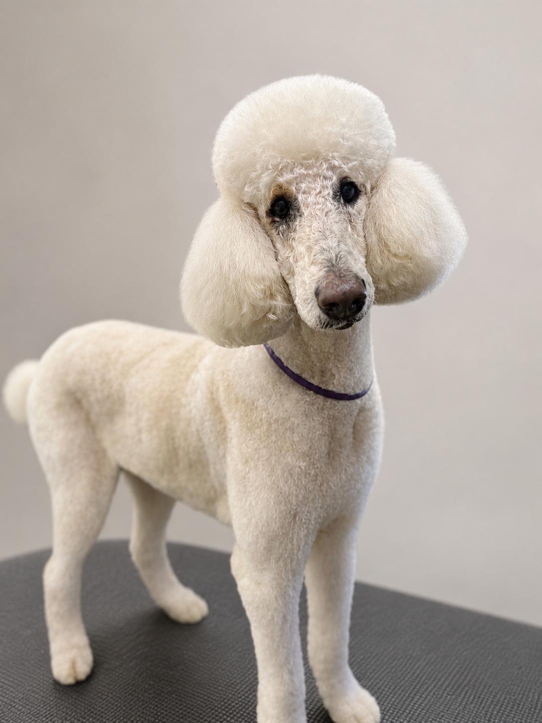 Grooming result